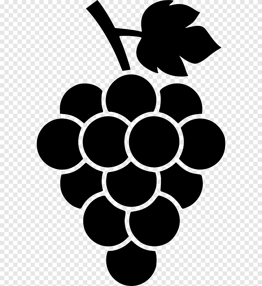 Wine Xplorer